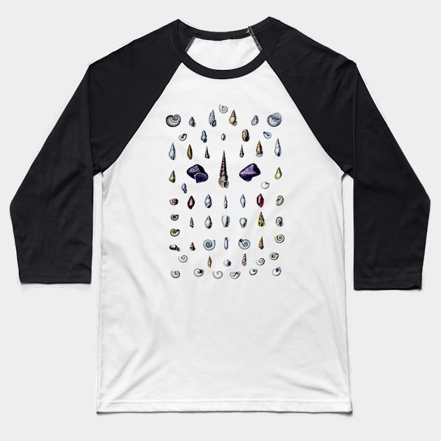 Shells Baseball T-Shirt by ArtShare